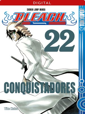 cover image of Bleach 22